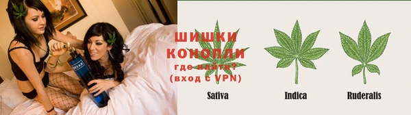 mdpv Елабуга