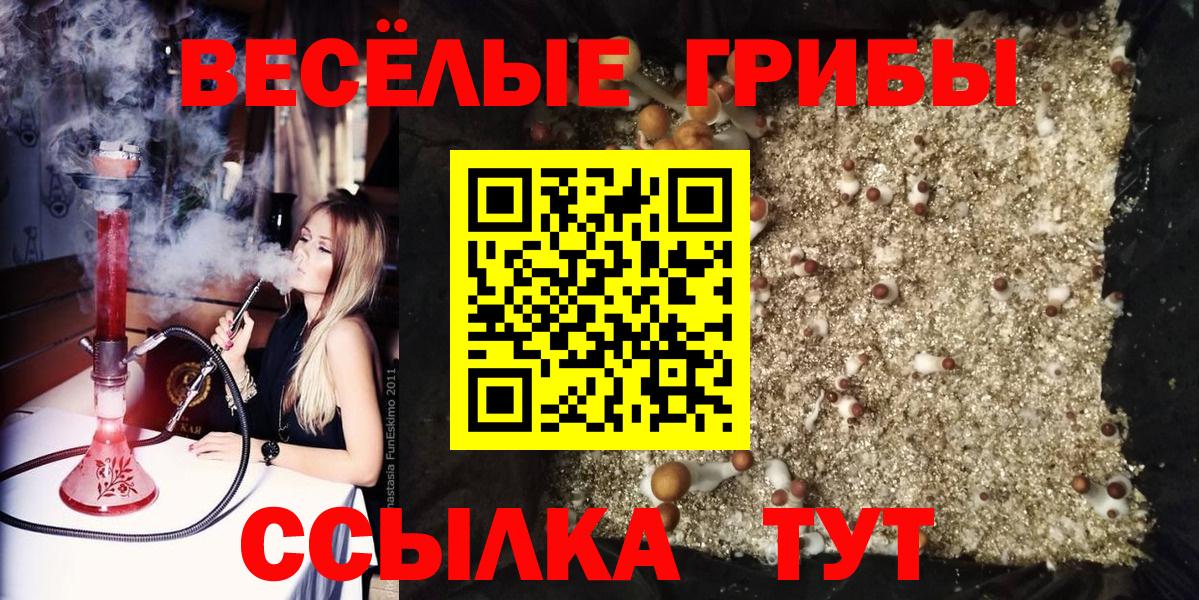 Галлюциногенные грибы мухоморы Электросталь
