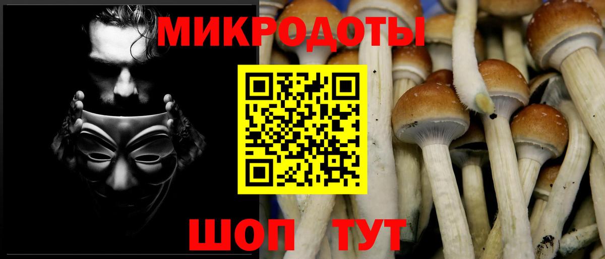 Электросталь  Псилоцибиновые грибы MAGIC MUSHROOMS  Вход с VPN 